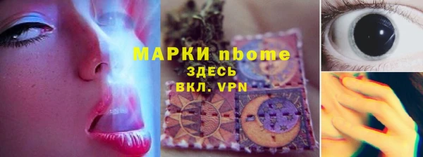 сатива Анжеро-Судженск